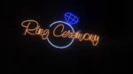 Vibrant Neon sign